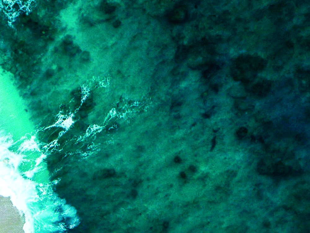 Snorkel y calas